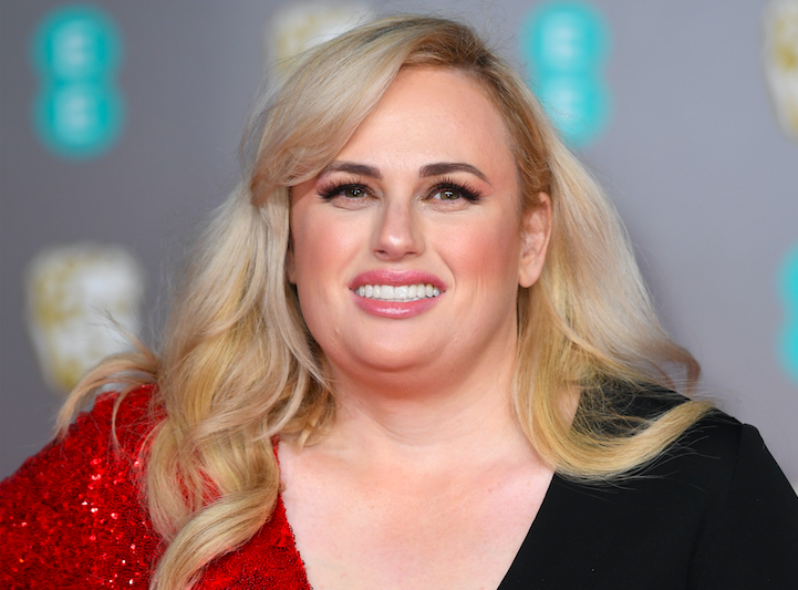 Rebel Wilson Just Dragged 