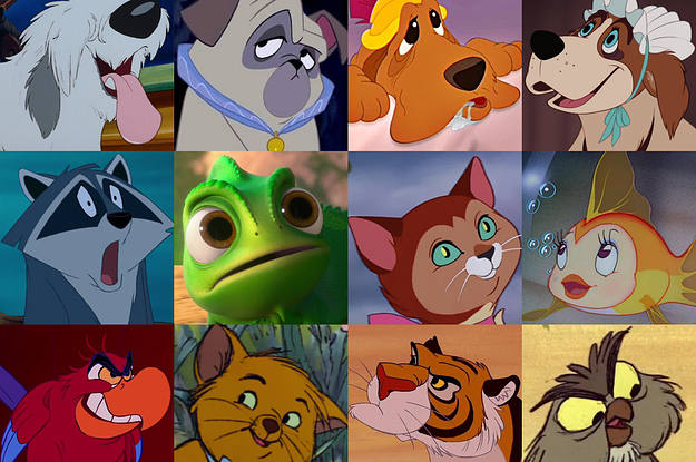testimonio explosión Manía Cuántas mascotas de la películas de Disney puedes reconocer?