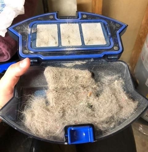 Reviewer&#x27;s picture of the vacuum filled with pet hair 