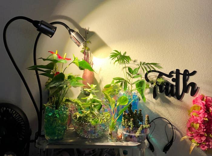 A long black grow light being used to light up a group of plants