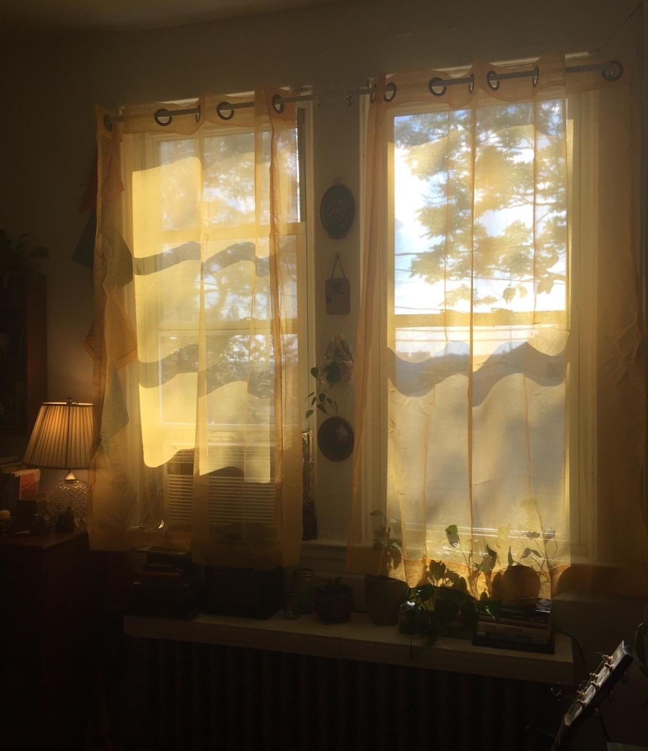 Sheer white curtains in a window with light streaming through