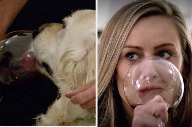 This Love Is Blind Contestant Let Her Dog Drink Wine