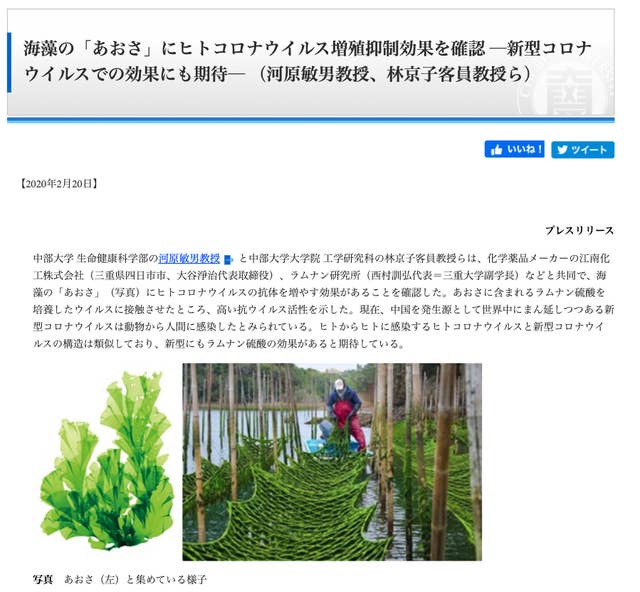 アオサが 新型コロナ に効果 中部大学が公表 批判相次ぎ削除 その理由は