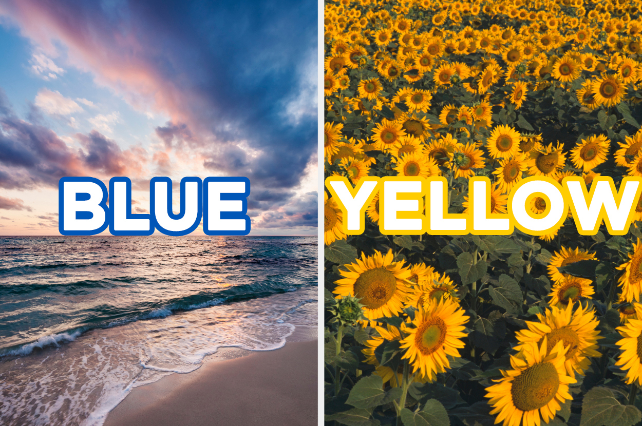 what is my favorite color buzzfeed