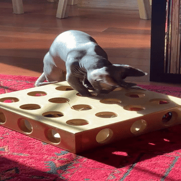 15 Tips To Help Keep You And Your Cats Happy