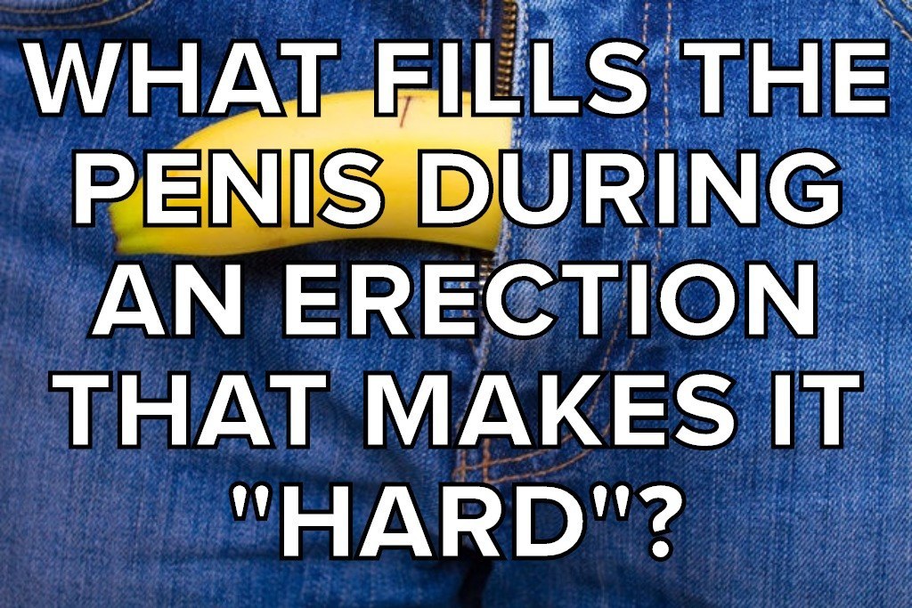 How Many Of These 13 Penis Sex Education Questions Can You Answer