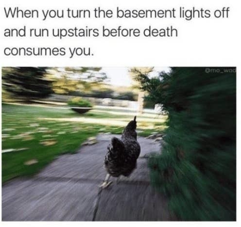 Picture of a chicken running with the text &quot;When you turn the basement lights off and run upstairs before death consumes you&quot;