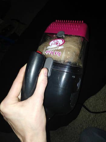 Reviewer holding the small handheld vacuum with it filled with hair