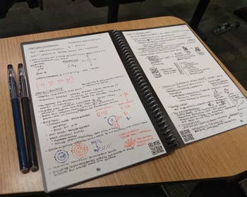 Reviewer pic of the notebook open on a desk with notes neatly written on either side and two pens sitting next to it