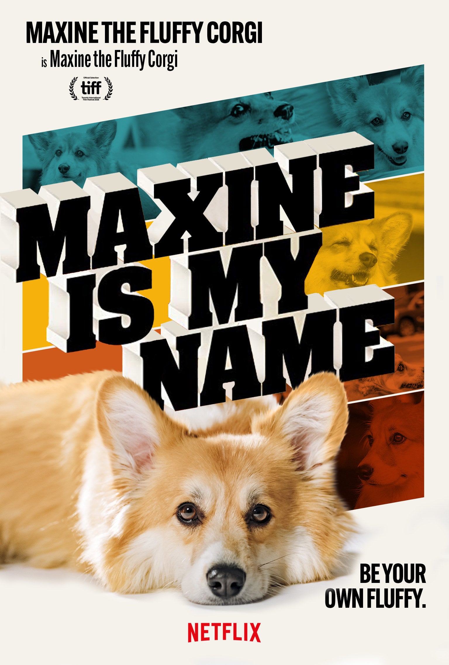 This Corgi Was Photoshopped Into Movie Posters And Now I Need