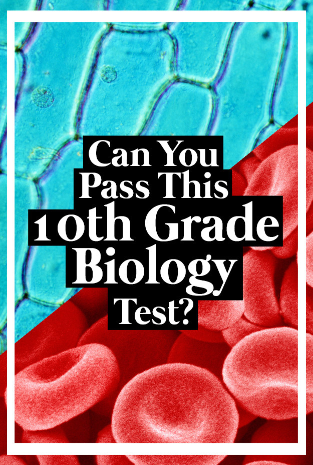 10 grade bio