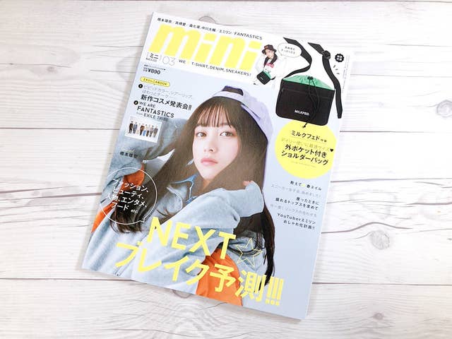 これは即買い 雑誌付録のショルダーバッグ 市販のを超える可愛さなんですが