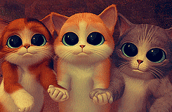 Gif of cats from Puss in Boots smiling with their eyes wide 