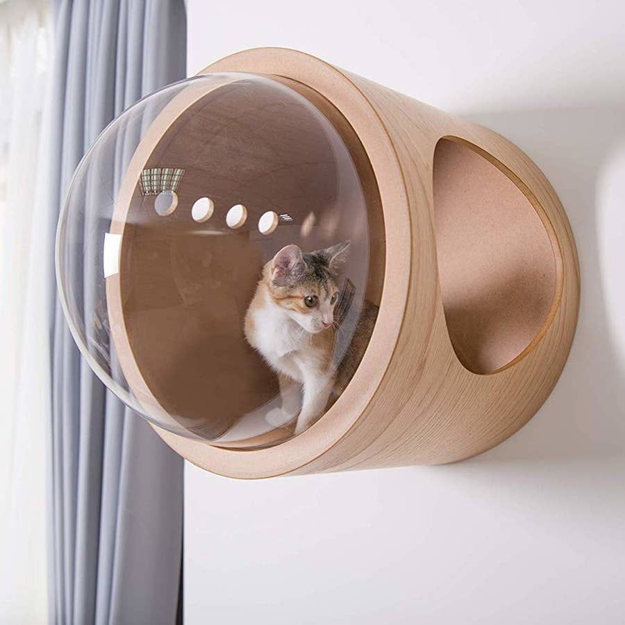 32 Things Biggest Cat Lover Probably Doesn't Own Yet