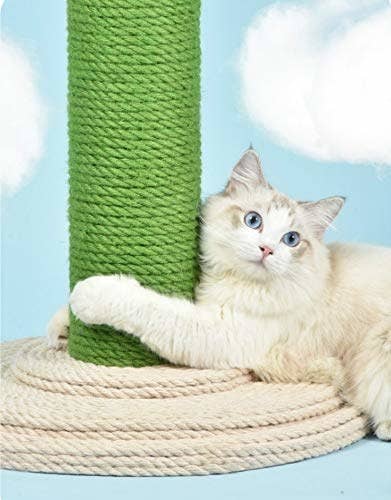 32 Things Even The Biggest Cat Lover Probably Doesn T Own Yet