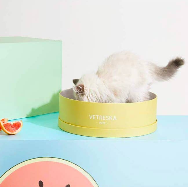 32 Things Even The Biggest Cat Lover Probably Doesn T Own Yet