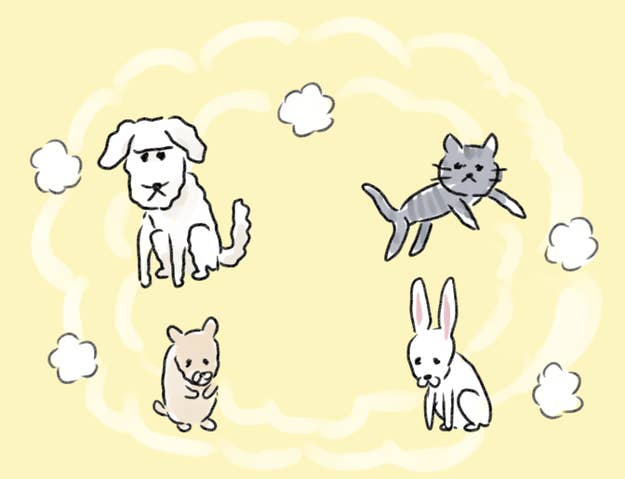 診断 あなたが貰えるバレンタインチョコの数は 診断 あなたが貰えるバレンタインチョコの数は