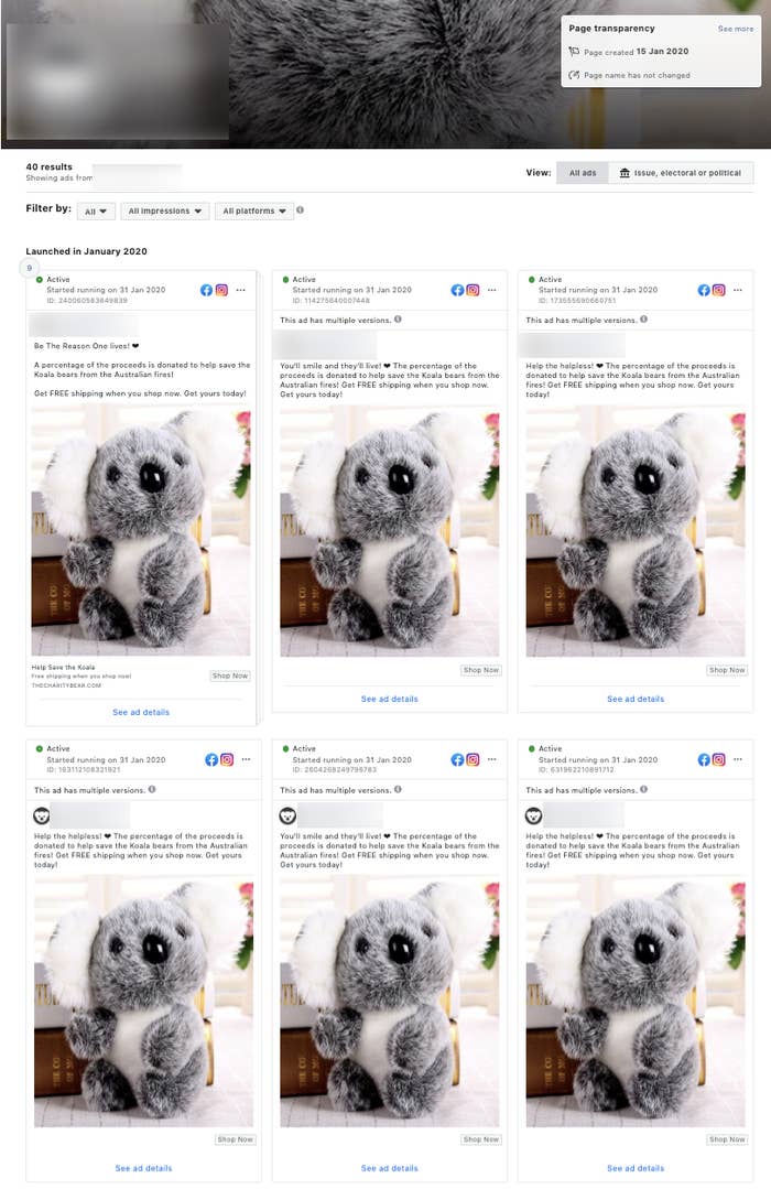 Online Koala Toy Stores Promised They Would Donate Some Proceeds To  Charity. Did They?