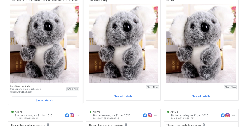 Online Koala Toy Stores Promised They Would Donate Some Proceeds