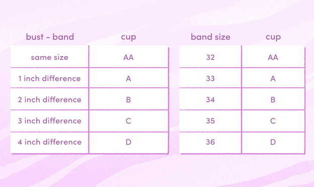 What is the difference between an A cup bra and an AA cup bra? Why