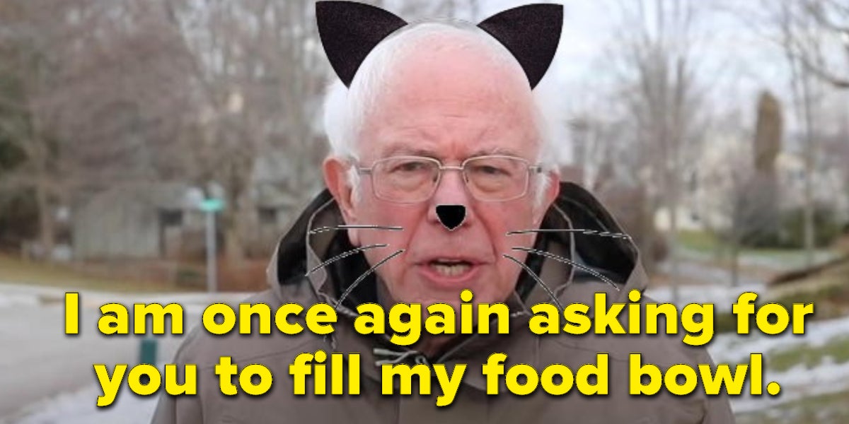 The Bernie Sanders "I Am Once Again Asking" Meme: Everything You Need To  Know