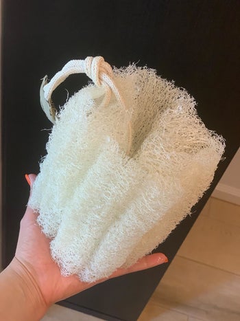 a reviewer photo of the same loofah soaked up after the suggested pre-soak