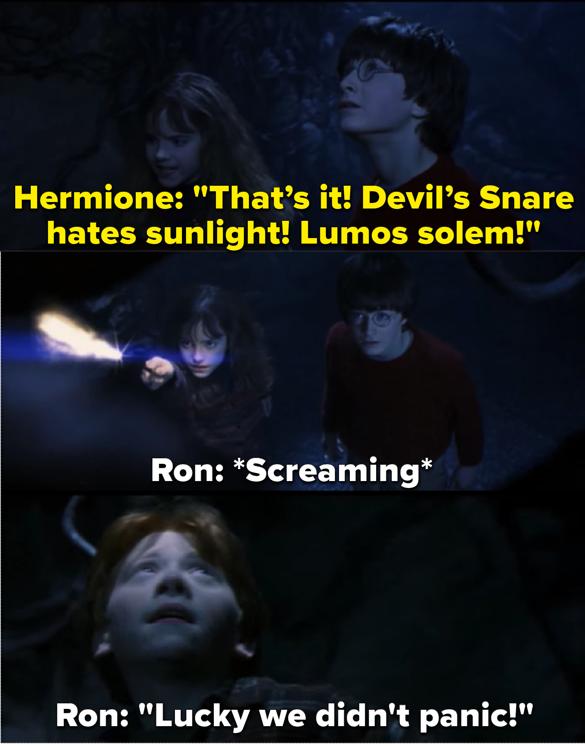 Harry afraid of Hermione  Harry potter jokes, Harry potter funny, Harry  potter memes