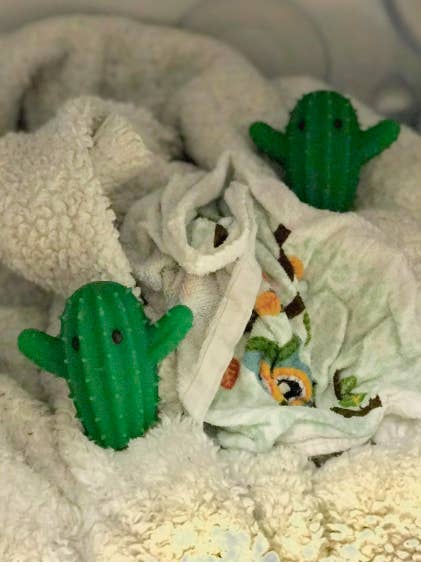 two cactus figurines with faces in with reviewer's laundry
