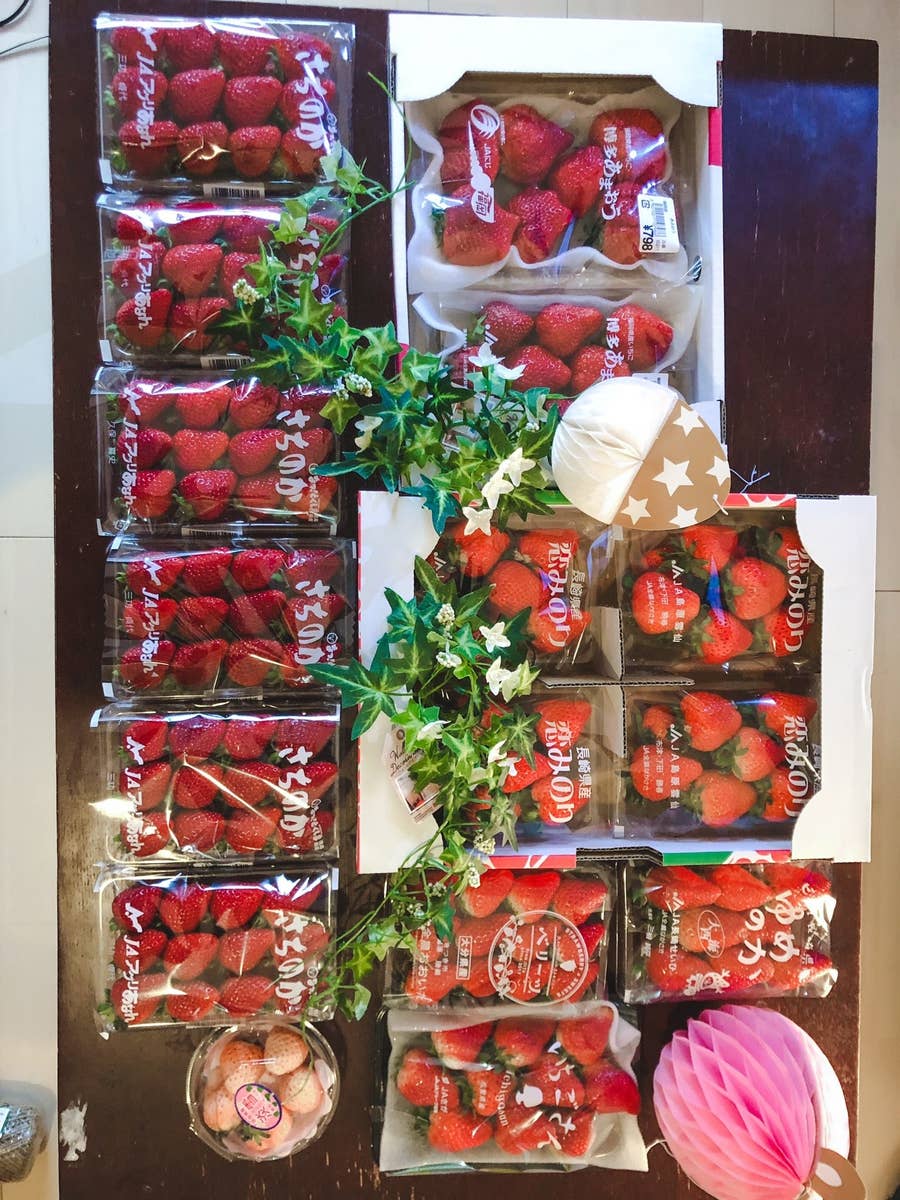 全人類の夢 お家でいちご狩りをしてみた結果