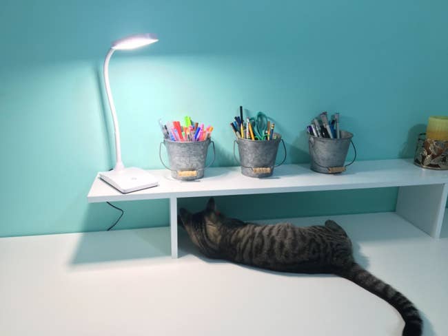 A white desk lamp with a sloped bending stand