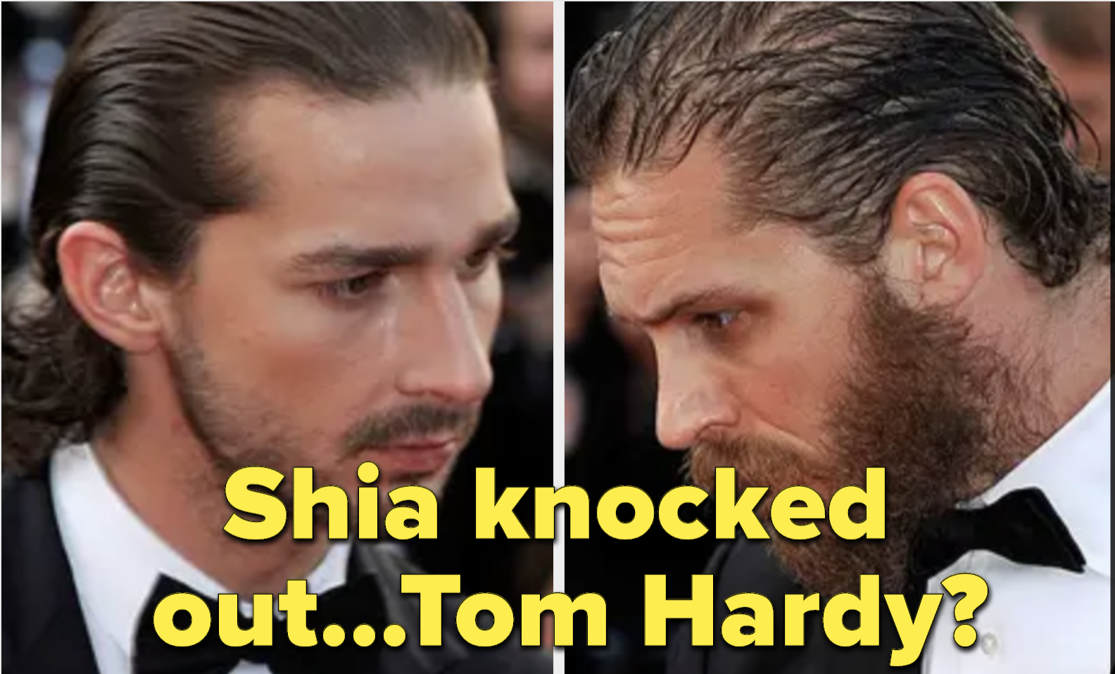 Famous celeb fights