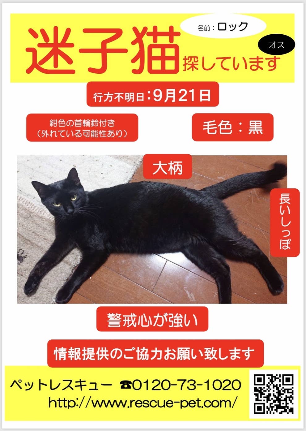 この世には ペット探偵 という不思議な職業がある