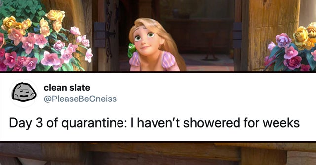 Téléchargement gratuit Images 17 Jokes About Quarantine To Laugh At As You Self Isolate Due To le plus cool salutations