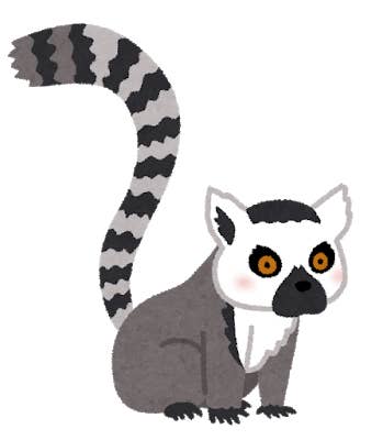 動物の格好をしたyoutuberが本当に伝えたい 未来のこと