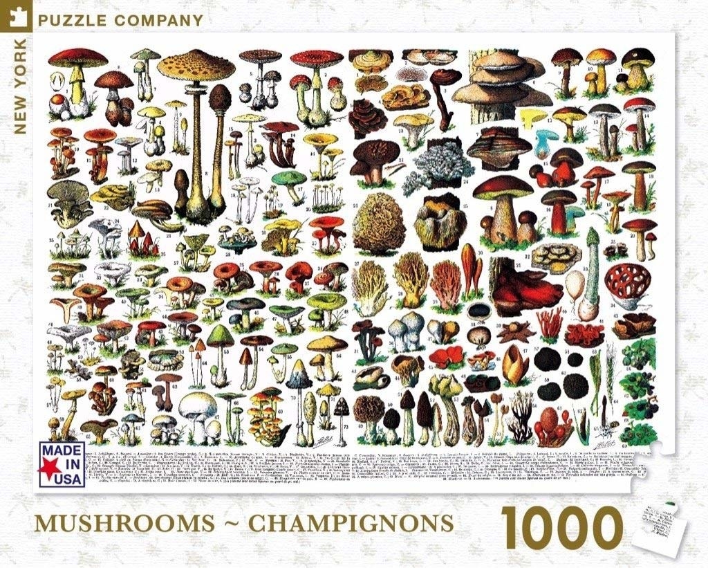 puzzle of tons of different kinds of mushrooms
