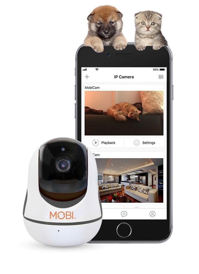 The pet cam and a smartphone 
