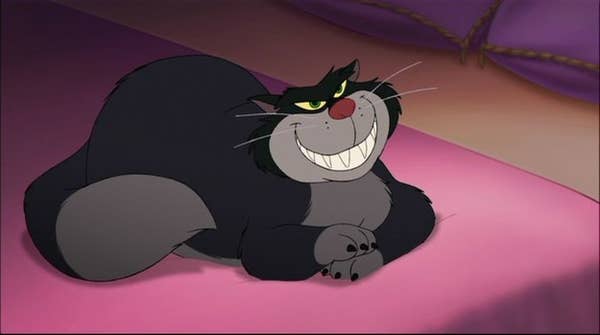 Disney Character Names For Cats لم يسبق له مثيل الصور Tier3 Xyz