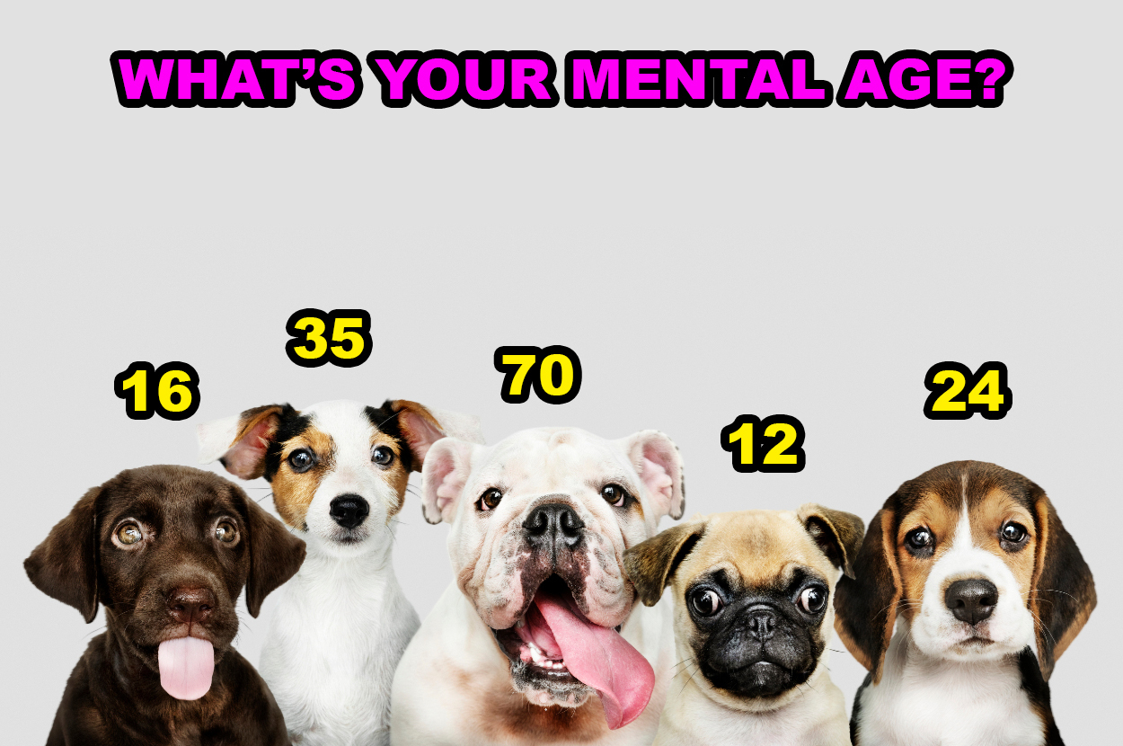 what is the best age to choose a puppy