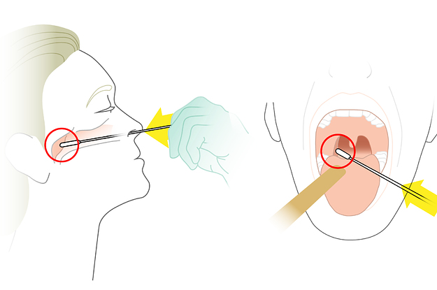 Рот тест. Взятие мазка на ковид из носа. Мазок из носа на коронавирус.