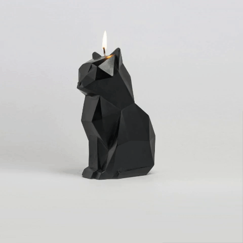 The fully intact black cat candle melting down to its creepy skeleton