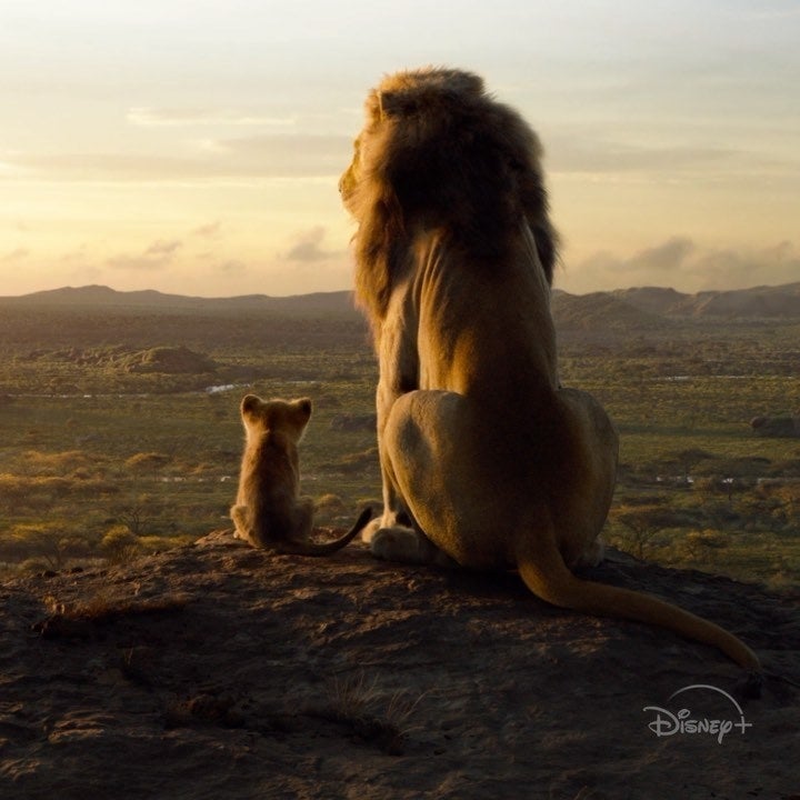 a live action version of simba sitting next to mufasa