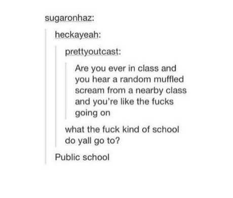 Tumblr post about hearing random screaming from a classroom and wondering what&#x27;s going on