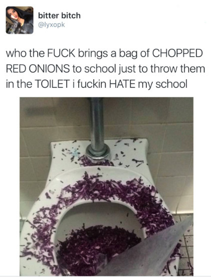 Tweet with a picture of a toilet covered in red onion shavings