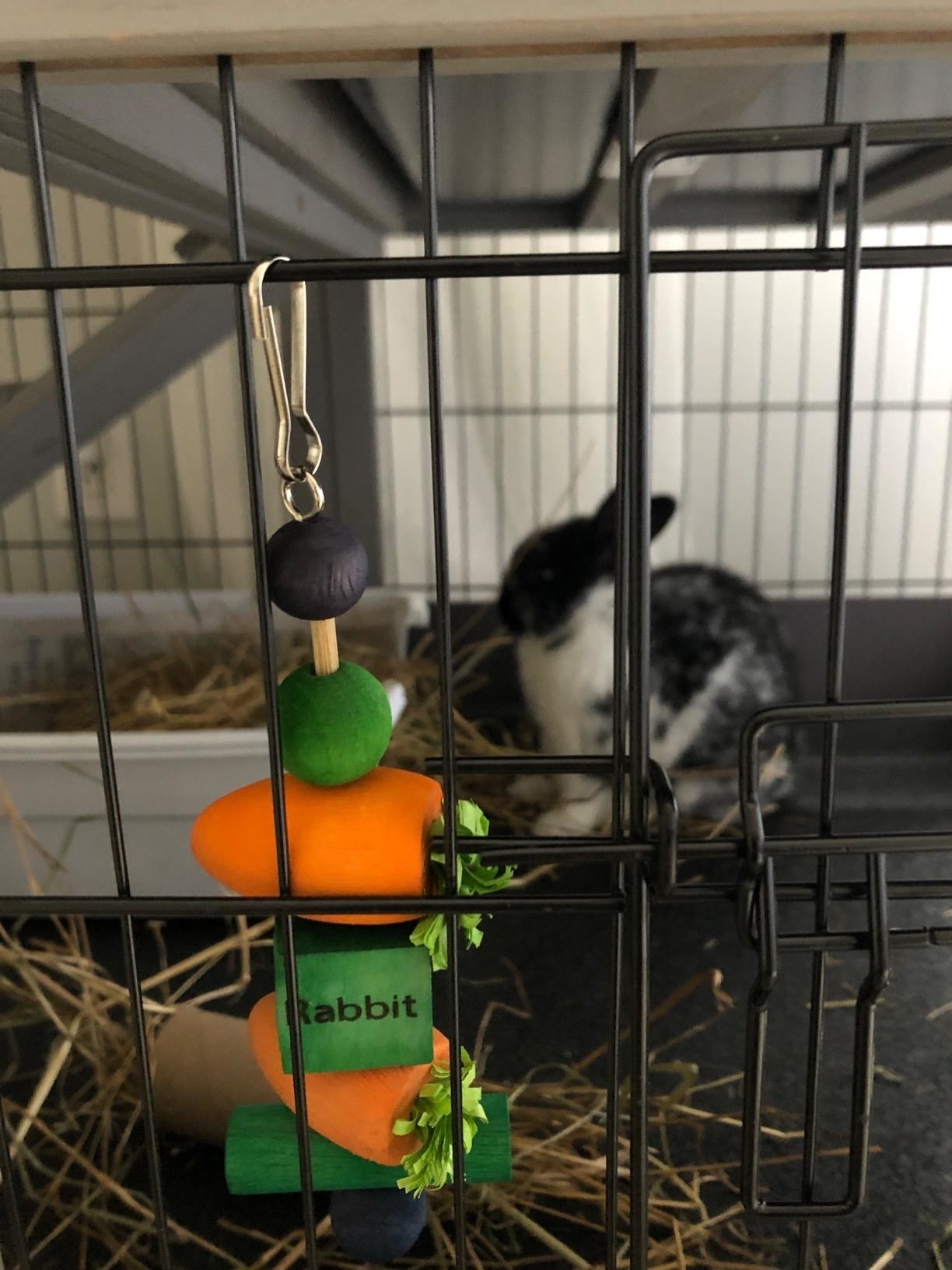 The toy hanging inside a rabbit cage
