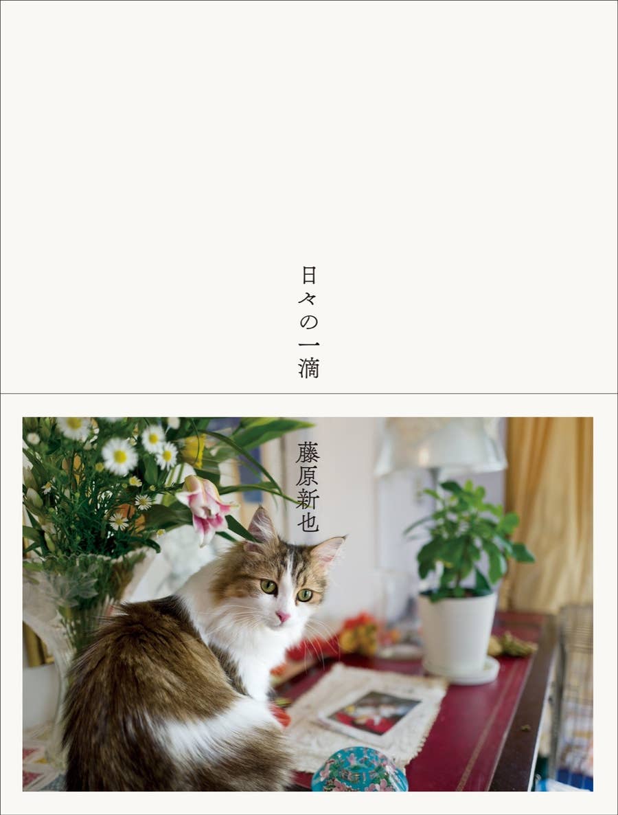 ワニは生きていた メメント モリ 藤原新也が考察する 100日後に死ぬワニ 最終回