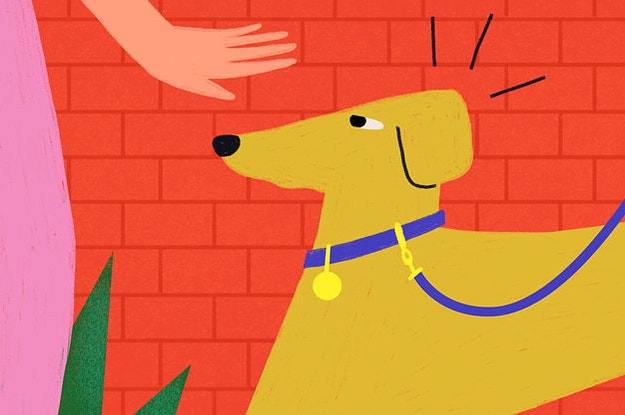 Télécharger gratuitement Images Buzzfeed dernière par