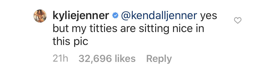 Kylie Jenner Posted A Picture With Kendall Even Though They're Fighting  And Her Reasoning Is Hilarious AF