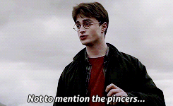 26 Hilarious Harry Potter Moments