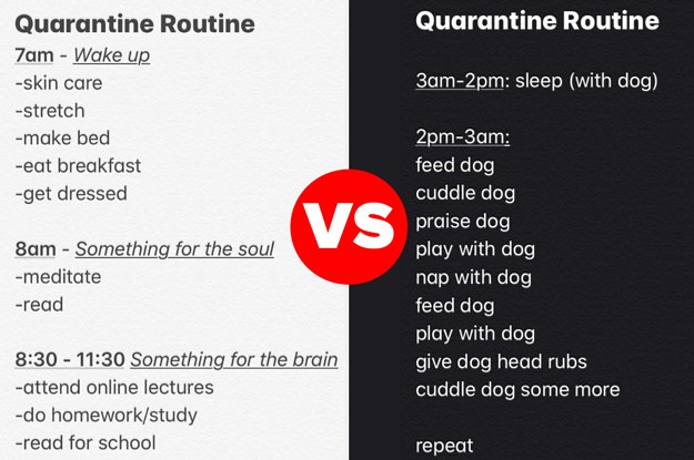 I'm an image I'm an image