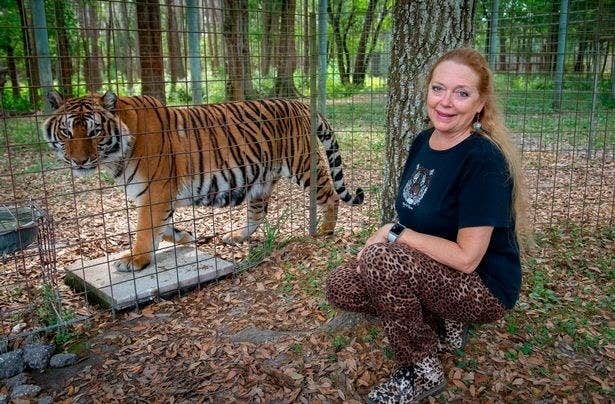Carole Baskin Just Responded To Netflix S Tiger King And Called